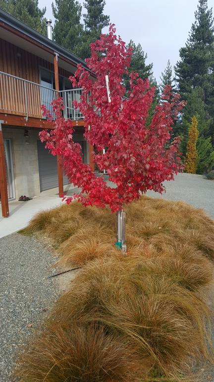 Mapleview Cottage Lac Tekapo Extérieur photo