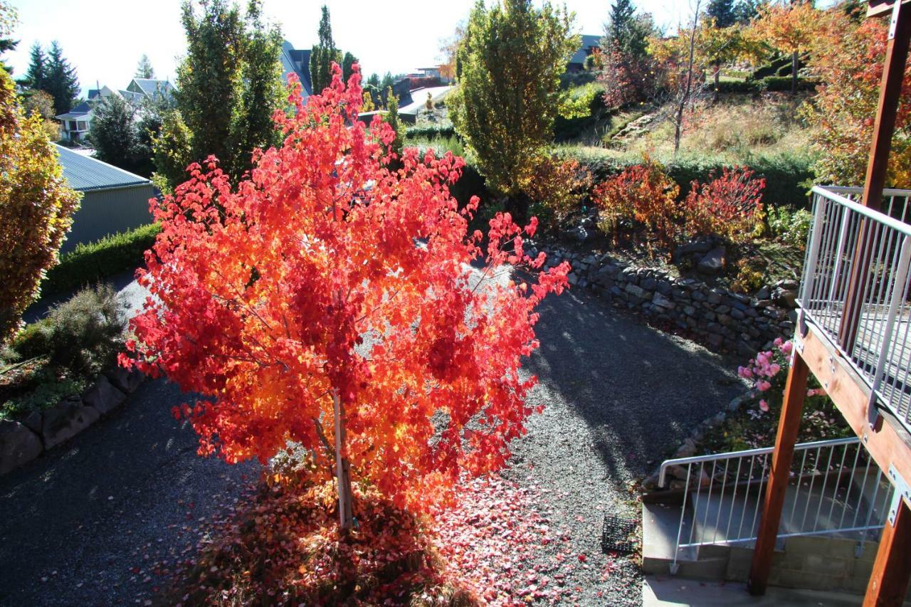 Mapleview Cottage Lac Tekapo Extérieur photo